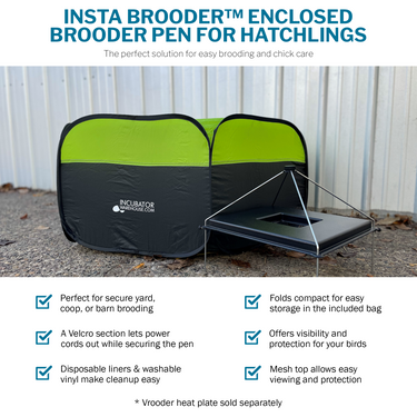 Incubator Warehouse Insta Brooder™ Enclosed Brooder Pen for Hatchlings